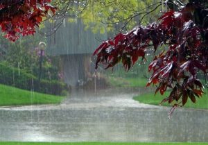 اداره کل هواشناسی گیلان از بارش باران و کاهش حداکثر ۱۲ درجه ای دمای هوا تا اواخر هفته آینده در استان خبر داد.