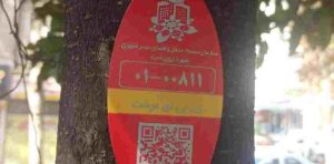 حسنی: اجرای طرح نصب پلاک هوشمند حاوی QR کد بر روی بیش از ۱۰ هزار اصله درخت در محدوده ی مناطق یک و پنج شهرداری رشت