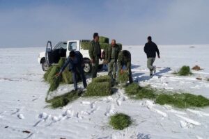 آماده باش محیط بانان در ۲۰ پاسگاه محیط بانی در روزهای برفی