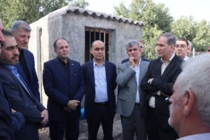 آخرین وضعیت تولید، نگهداری و توسعه باغات زیتون گیلان در شهرستان جنوبی رودبار