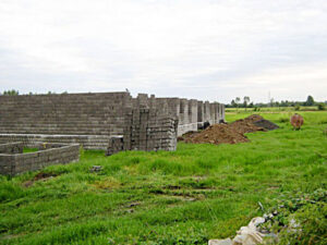 صالح محمدی: نکاشتن اراضی کشاورزی زمینه ی سودجویی زمین خواران است ؛ کشاورزان دقت کنند.