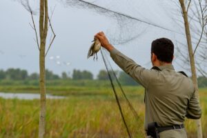 از مقابله با شکار غیرمجاز تا کنترل فاضلاب و ساماندهی پسماند