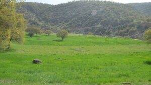 کشف زمین خواری ۲۳ میلیاردی در دهستان بلوکات