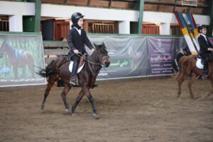 بیستمین جشنواره ملی زیبایی اسب کاسپین در منطقه آزاد انزلی