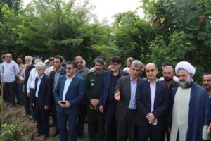 حق شناس :افزایش تولید برنج در گیلان، در گرو ارتقای بهرهوری، مکانیزاسیون، بهزراعی و بهنژادی است